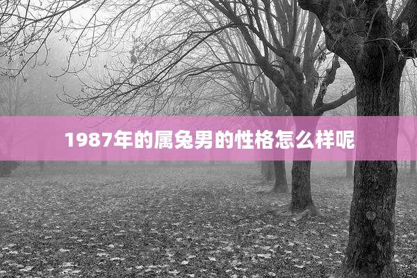 1987年的属兔男的性格怎么样呢