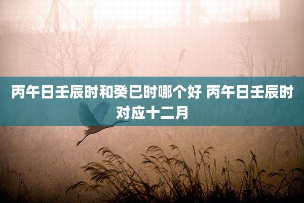 丙午日壬辰时和癸巳时哪个好 丙午日壬辰时对应十二月