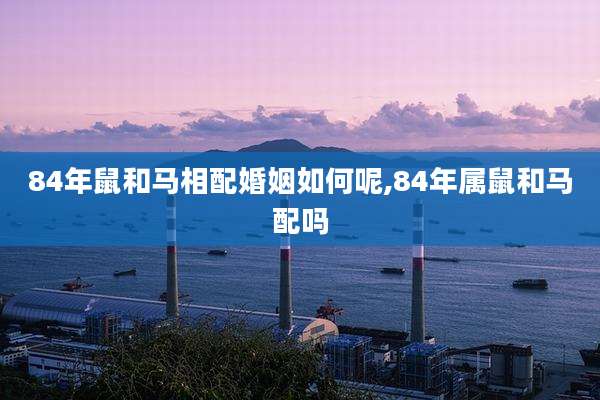 84年鼠和马相配婚姻如何呢,84年属鼠和马配吗
