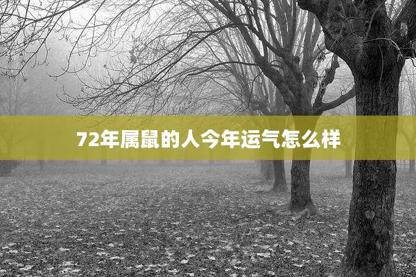 72年属鼠的人今年运气怎么样