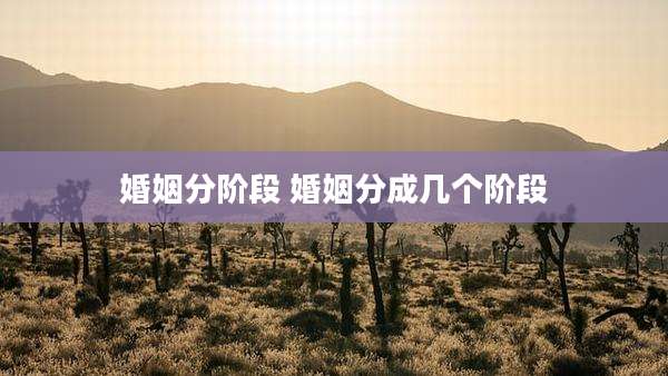 婚姻分阶段 婚姻分成几个阶段