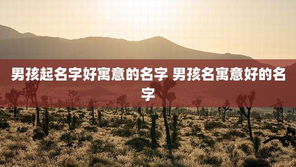 男孩起名字好寓意的名字 男孩名寓意好的名字
