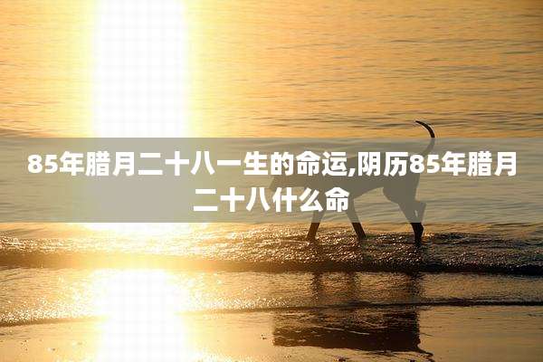 85年腊月二十八一生的命运,阴历85年腊月二十八什么命