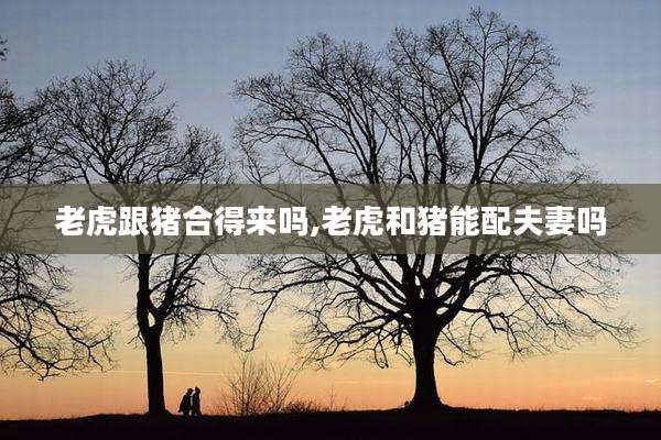 老虎跟猪合得来吗,老虎和猪能配夫妻吗