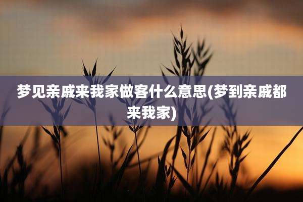 梦见亲戚来我家做客什么意思(梦到亲戚都来我家)