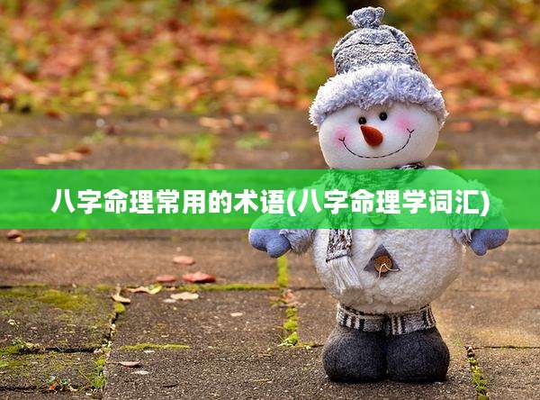 八字命理常用的术语(八字命理学词汇)