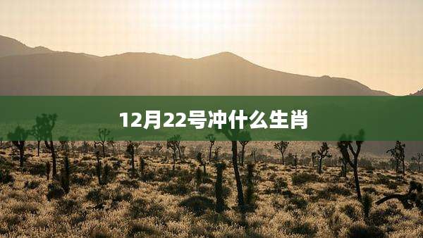 12月22号冲什么生肖