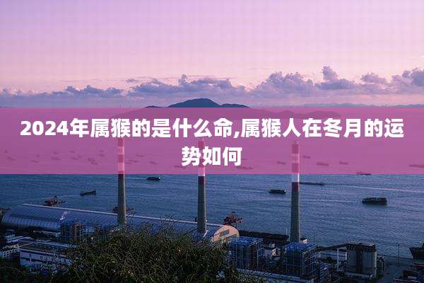 2024年属猴的是什么命,属猴人在冬月的运势如何