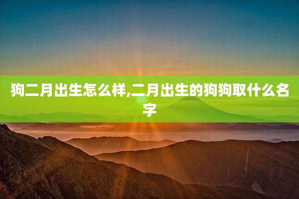 狗二月出生怎么样,二月出生的狗狗取什么名字