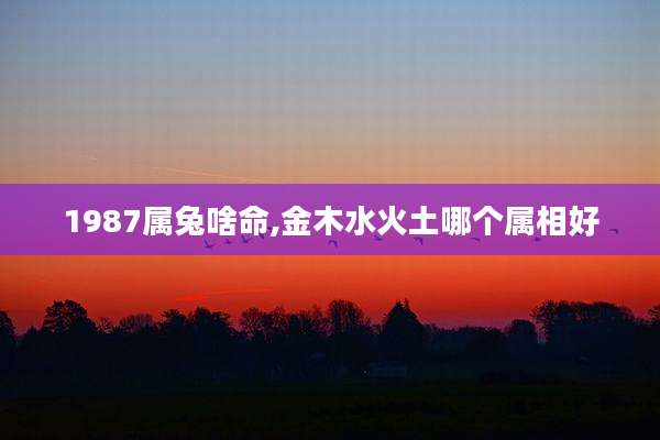 1987属兔啥命,金木水火土哪个属相好
