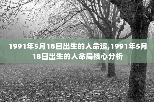 1991年5月18日出生的人命运,1991年5月18日出生的人命局核心分析