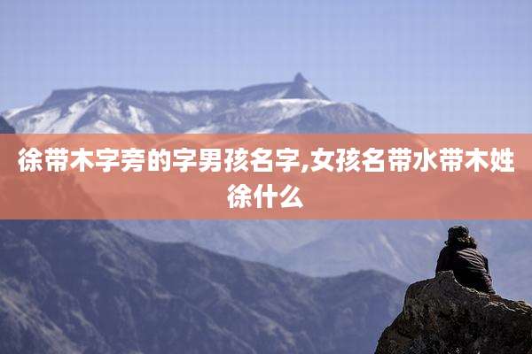 徐带木字旁的字男孩名字,女孩名带水带木姓徐什么