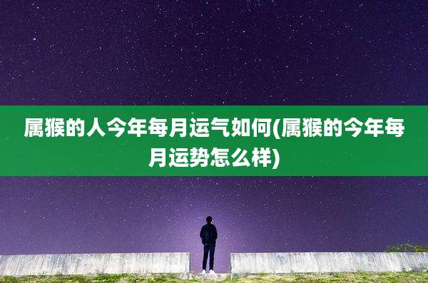 属猴的人今年每月运气如何(属猴的今年每月运势怎么样)