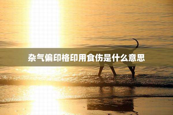 杂气偏印格印用食伤是什么意思