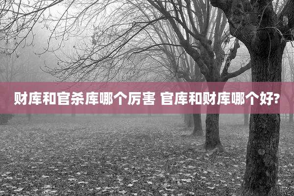 财库和官杀库哪个厉害 官库和财库哪个好?