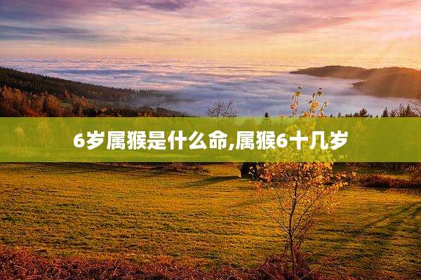 6岁属猴是什么命,属猴6十几岁
