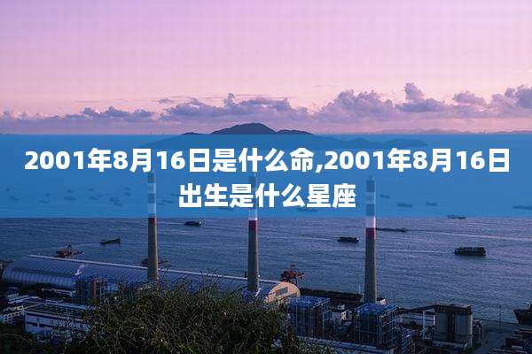 2001年8月16日是什么命,2001年8月16日出生是什么星座