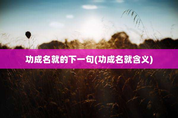 功成名就的下一句(功成名就含义)