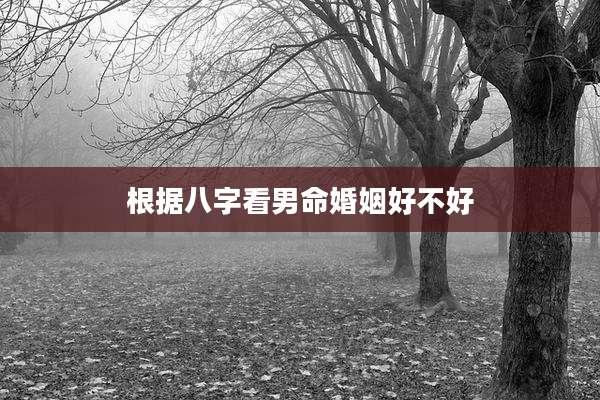 根据八字看男命婚姻好不好