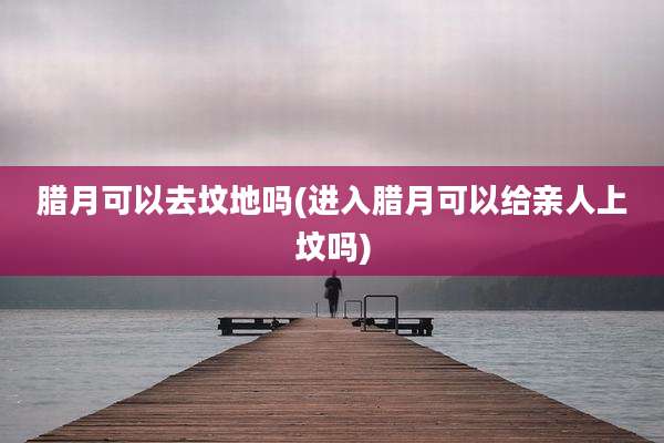 腊月可以去坟地吗(进入腊月可以给亲人上坟吗)