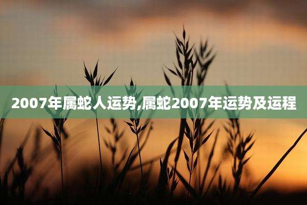 2007年属蛇人运势,属蛇2007年运势及运程