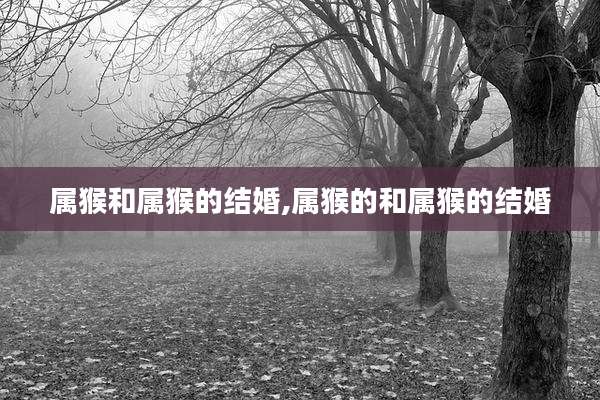 属猴和属猴的结婚,属猴的和属猴的结婚