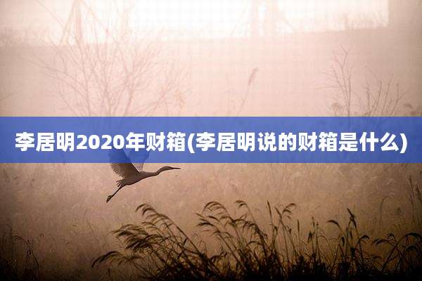 李居明2020年财箱(李居明说的财箱是什么)