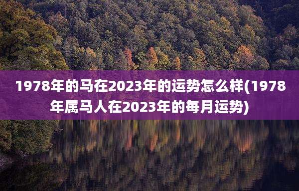 1978年的马在2023年的运势怎么样(1978年属马人在2023年的每月运势)