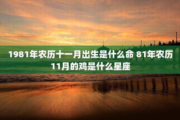 1981年农历十一月出生是什么命 81年农历11月的鸡是什么星座
