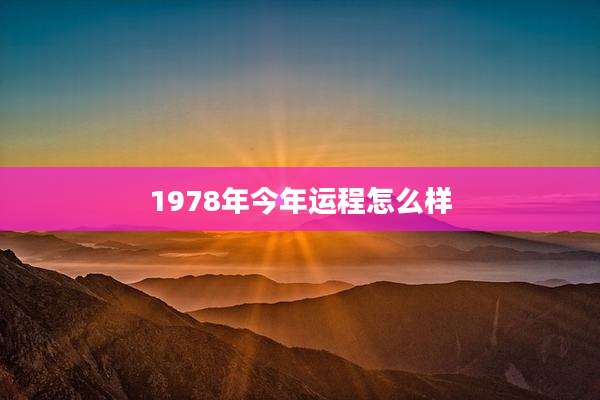 1978年今年运程怎么样