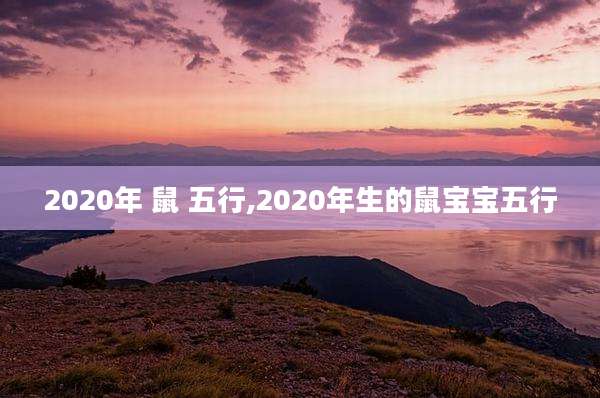 2020年 鼠 五行,2020年生的鼠宝宝五行
