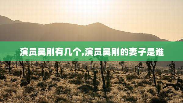 演员吴刚有几个,演员吴刚的妻子是谁