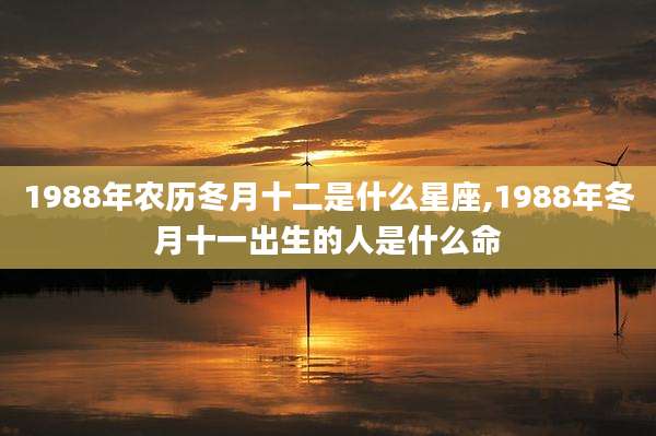 1988年农历冬月十二是什么星座,1988年冬月十一出生的人是什么命
