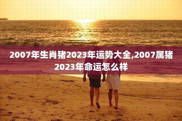 2007年生肖猪2023年运势大全,2007属猪2023年命运怎么样