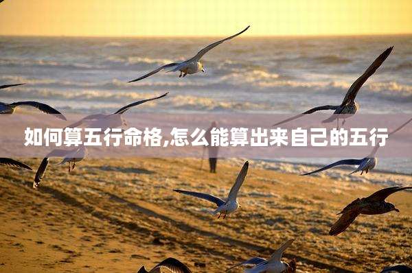 如何算五行命格,怎么能算出来自己的五行