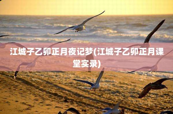 江城子乙卯正月夜记梦(江城子乙卯正月课堂实录)