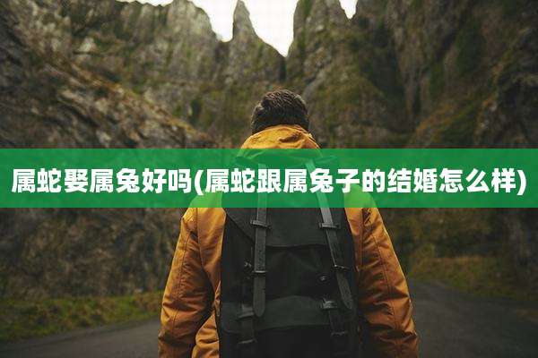 属蛇娶属兔好吗(属蛇跟属兔子的结婚怎么样)