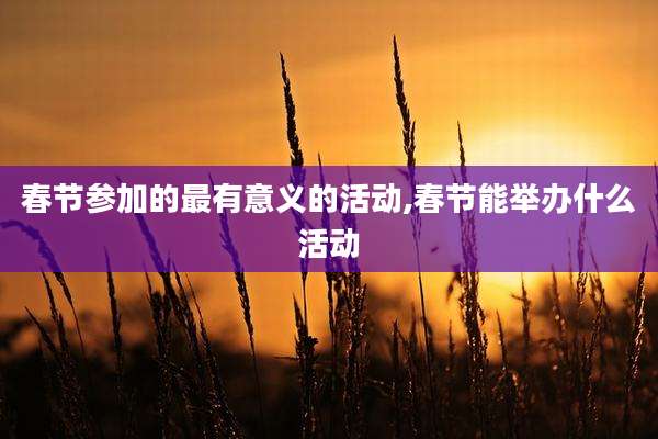春节参加的最有意义的活动,春节能举办什么活动
