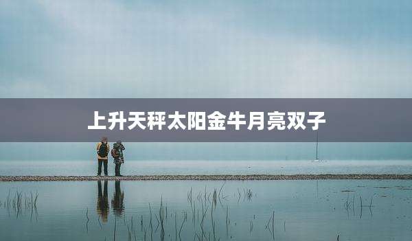 上升天秤太阳金牛月亮双子