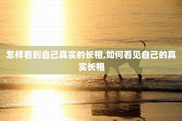 怎样看到自己真实的长相,如何看见自己的真实长相