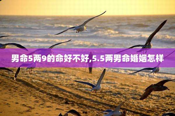 男命5两9的命好不好,5.5两男命婚姻怎样