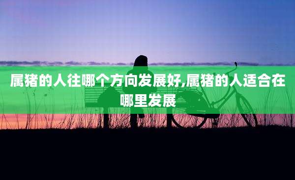 属猪的人往哪个方向发展好,属猪的人适合在哪里发展