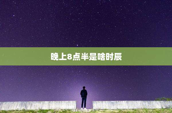 晚上8点半是啥时辰