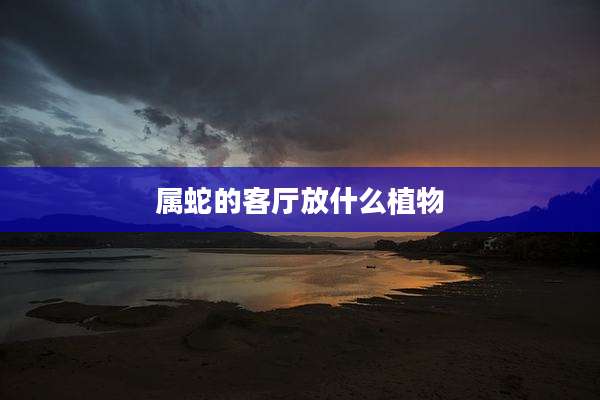 属蛇的客厅放什么植物