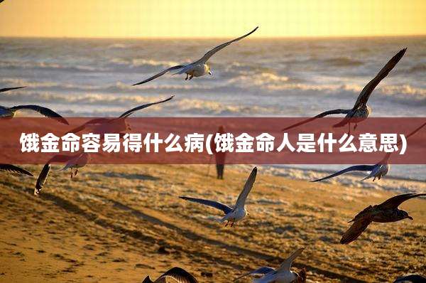 饿金命容易得什么病(饿金命人是什么意思)