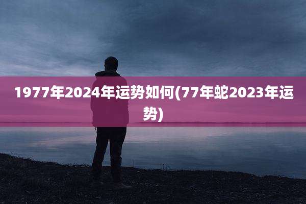 1977年2024年运势如何(77年蛇2023年运势)