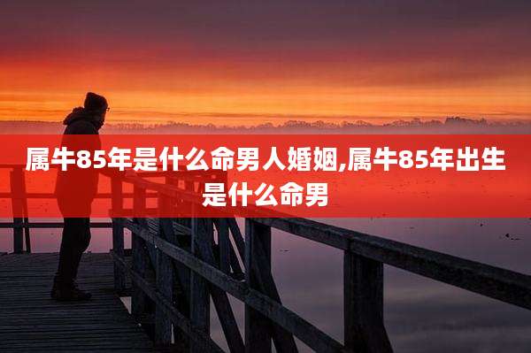 属牛85年是什么命男人婚姻,属牛85年出生是什么命男