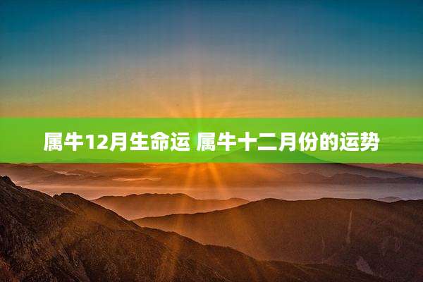 属牛12月生命运 属牛十二月份的运势