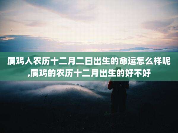 属鸡人农历十二月二曰出生的命运怎么样呢,属鸡的农历十二月出生的好不好