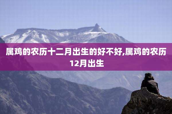 属鸡的农历十二月出生的好不好,属鸡的农历12月出生